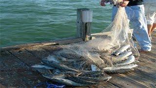 Everyone should watch this Fishermens video - Amazing Cast Net Fishing Mullet on The Beach