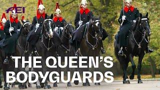 The Household Cavalry the Queens famous horses  RIDE presented by Longines