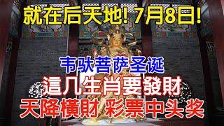 就在7月8日！韋馱菩薩聖誕，這幾生肖要發財，天降橫財尤其是最後一個，快快買彩票中頭獎【佛語】#運勢 #風水 #佛教 #生肖 #佛語禪心