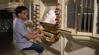 Demo of the 1703 Wender organ in Arnstadt Germany