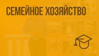 Семейное хозяйство. Видеоурок по обществознанию 5 класс