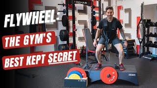 Why the Exerfly FlyWheel Should be a Part of Your Next Workout