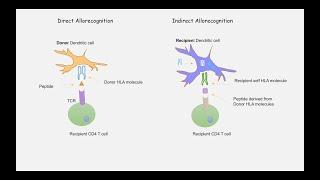 Part 9 Mechanism of Transplant Rejection and Types of Transplant Rejection