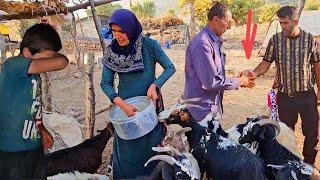 Akram sells her goats Moslem cries because of selling goats