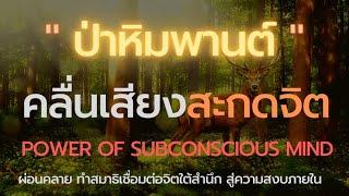 ป่าหิมพานต์ คลื่นเสียงสะกดจิต สมาธฺ เชื่อมต่อจิตใต้สำนึก เข้าสู่สงบและความสุขอย่างแท้จริง