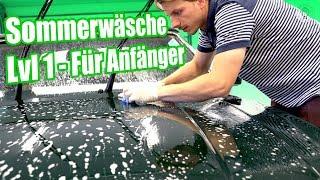 Auto waschen im Sommer  Insekten Pollen & Harz entfernen  Aston Martin Volante  Anleitung DIY