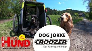 Der Croozer Hunde-Anhänger im Test