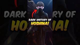 The Dark History Of The HOSHINA Family