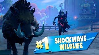 Shockwave Wildlife Using a Shockwave Grenade or Bow - Fortnite Week 4 Quests. The Quick Guide