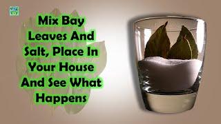 Mix Bay Leaves And Salt Place In Your House And See What Happens