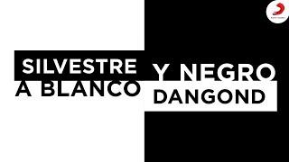 A Blanco Y Negro Silvestre Dangond - Letra Oficial