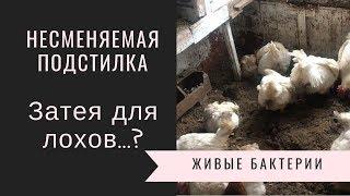 Несменяемая подстилка. Затея для лохов ...? То о чем не говорят производители.