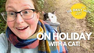 The Dailyish Vlog 205 - ON HOLIDAY WITH A CAT - an illustrator’s daily vlog