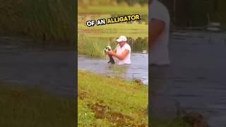 This man saved his puppy from a alligator  #wholesome #humanity #alligator