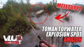 Toman Giant Snakehead EXPLOSION Spot AMAZON - Kayak Fishing Malaysia