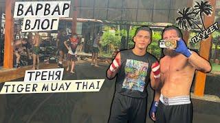 ВАРВАР ВЛОГ ПХУКЕТ   НОВАЯ ХАТА  ТРЕНЯ В TIGER MUAY THAI