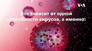 Мутация вируса