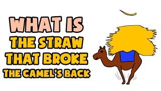 What is The Straw That Broke The Camels Back  Explained in 2 min