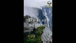 Salto Angel el mas alto del mundo shorts