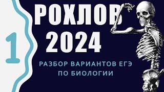 ЕГЭ 2024 биология. Вариант 1 Сборник Рохлова. Разбор.