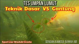 TES UMPAN LUMUT  Teknik Dasar VS Gantung  Dengan Kamera Bawah Air - Spot Liar Waduk Cirata