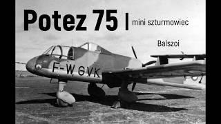 Potez 75  mini szturmowiec