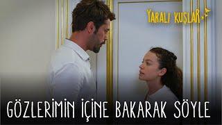 Meryem ve Leventin aşkı başlıyor 🩷  Yaralı Kuşlar 60. Bölüm