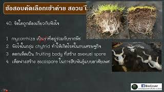 เฉลยข้อสอบเข้าค่าย สอวน ปี 65 ข้อ 40  fungi