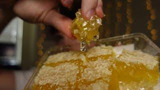 ASMR Raw Honeycomb Eating Sticky And Delicious Golden Honey