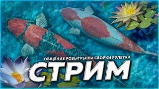 МЕДНОЕ ⭐ Тихая Ловля КОИ после Моря Рулетка & Розыгрыши  СТРИМ РР4