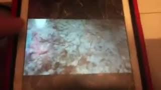 Destroying Home On The Range VHS - Reversed