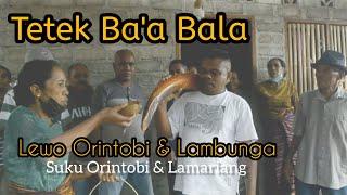 Tetek Baa Bala Lewo Orintobi_Lambungavideo vlog