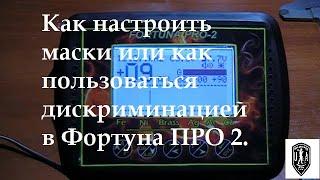 Как настроить маски или как пользоваться дискриминацией в Фортуна ПРО 2.