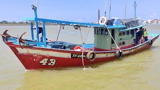 pendaratan nelayan pancing TFA1043 dengan hasil tangkapan bergred A untuk tahun baru cina