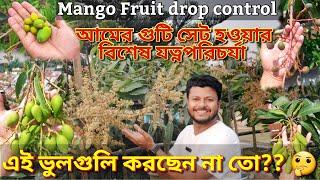 আমের গুটি ঝরে যাচ্ছে?সমাধান এক ভিডিওতে।আমের গুটি ঝরা রোধের সহজ উপায়।How to control Mango fruit drop?