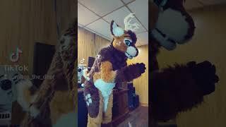 trust no one. #deer #furry #furryfandom #tiktokfurry