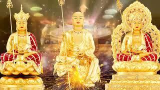Trong nhà Nghe Tụng Kinh CHÚ ĐẠI BI Giải Nghiệp Phật Phù Hộ Gia Đạo Bình An Phú Qúy Luôn May Mắn