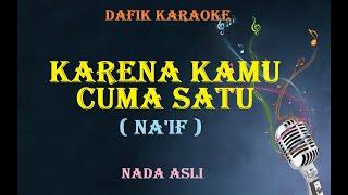 Karena Kamu Cuma Satu KaraokeOriginal Key