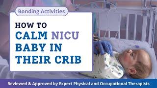 What to Do with Baby in the NICU  Bond with and Calm Baby in Their Crib