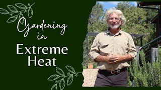 Gardening in extreme Heat