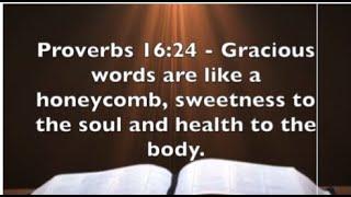 Proverbs 1624 - Make Anothers Day With Gracious Words