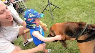 The Happy Bloodhound Mr. Rosco