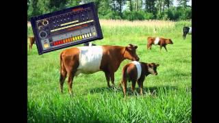 808 Cowbell