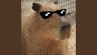 Capybara Song Tik Tok Version