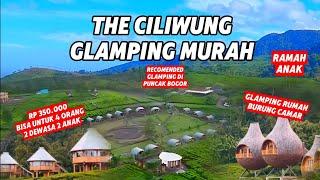 REVIEW THE CILIWUNG GLAMPING TEA ESTATE PUNCAK BOGOR CAMPING MURAH REKOMENDASI CAMPING ANAK