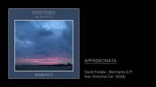 David Fedele - Appassionata from REMNANTS - feat. Antonina Car