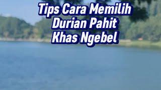 Tips memilih Durian Yang Pahit Manis