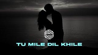 Tu Mile Dil Khile - DJ MITRA  @siddharthslathiaofficial  Kumar Sanu