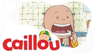 Caillou - Caillous Summer Goodnight  S01E21  Cartoon for Kids