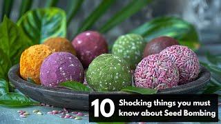 10 Shocking Things You Must Know About Seed Bombing